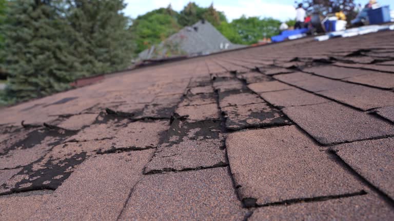 Best Green or Eco-Friendly Roofing Solutions  in Center Line, MI