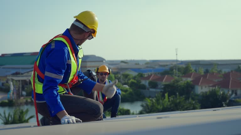 Best 4 Ply Roofing  in Center Line, MI